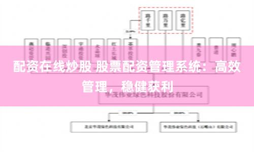 配资在线炒股 股票配资管理系统：高效管理，稳健获利