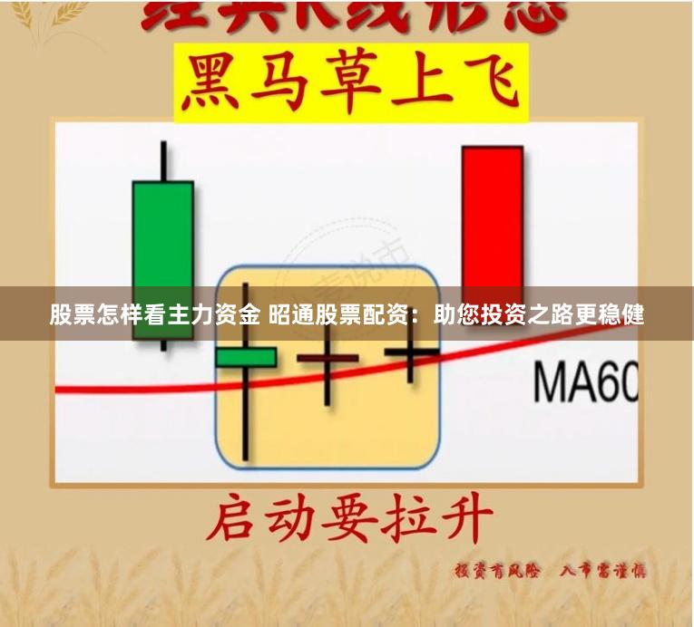 股票怎样看主力资金 昭通股票配资：助您投资之路更稳健