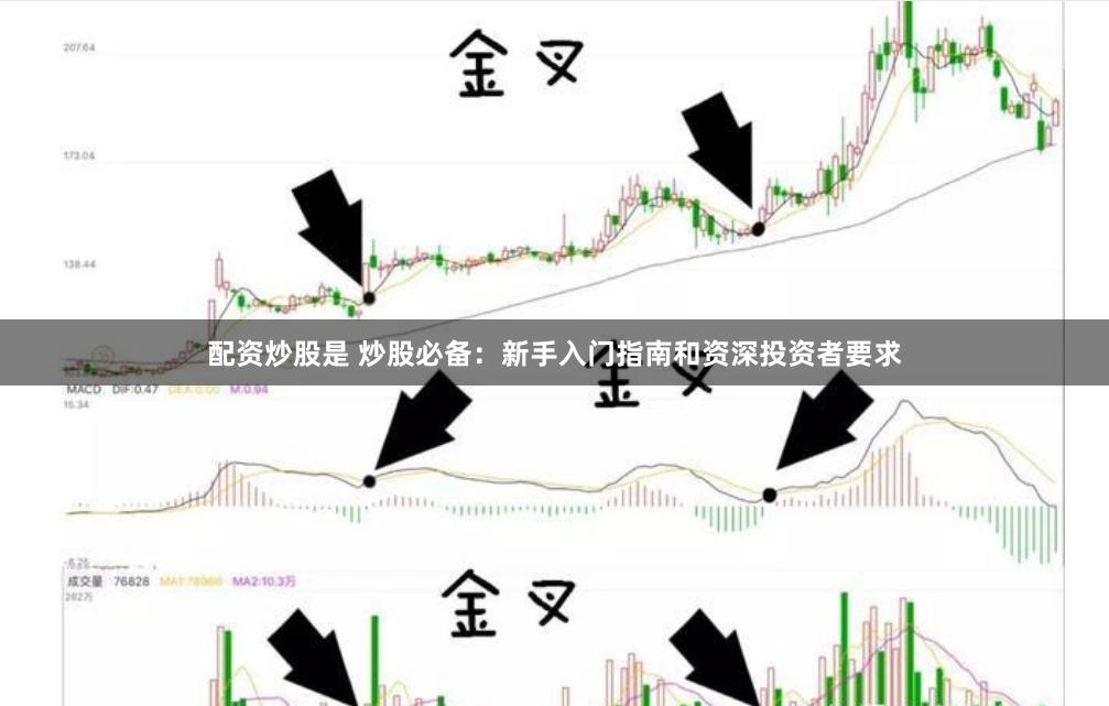 配资炒股是 炒股必备：新手入门指南和资深投资者要求