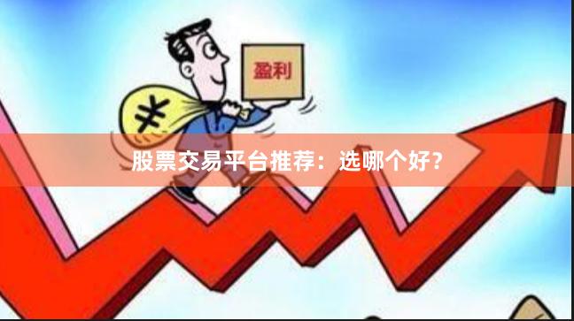 股票交易平台推荐：选哪个好？
