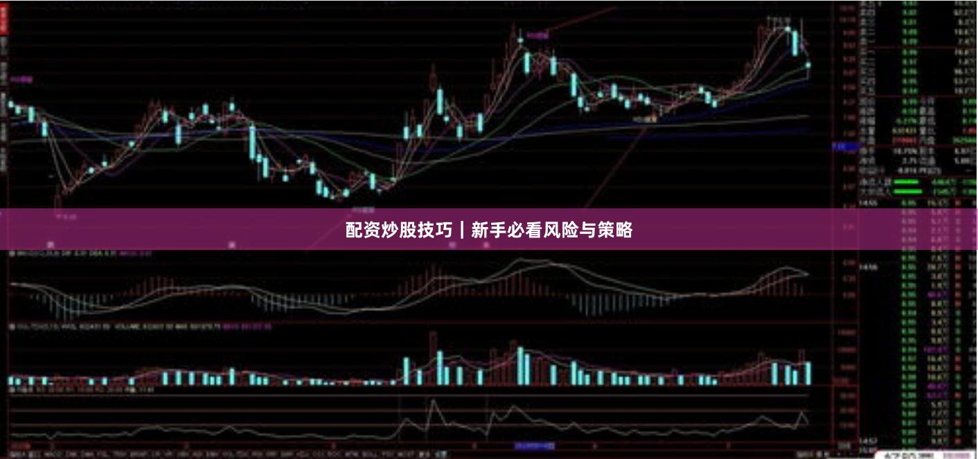 配资炒股技巧|新手必看风险与策略