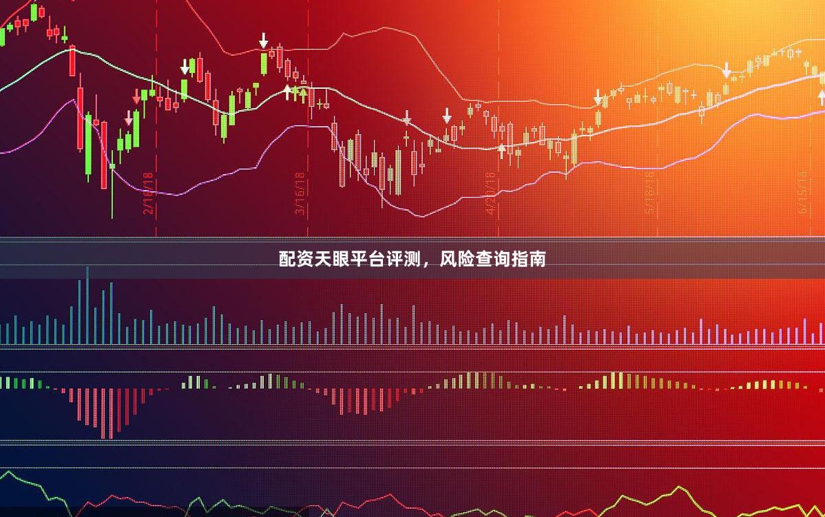 配资天眼平台评测，风险查询指南